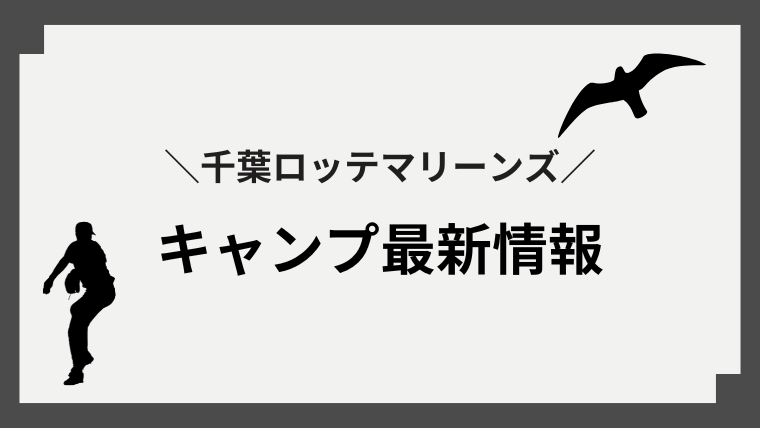 プロ野球 キャンプ 2026 千葉ロッテ